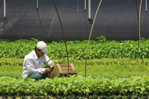 Il faudra extraire beaucoup de CO2 de l air et de l eau, selon l ONU